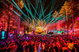 Electric Forest